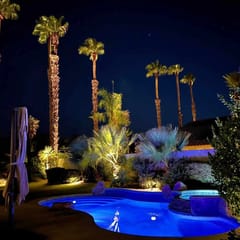 Palm Breezes
