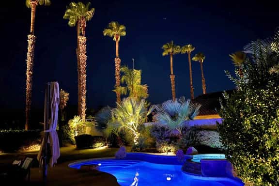 Palm Breezes - Image 1