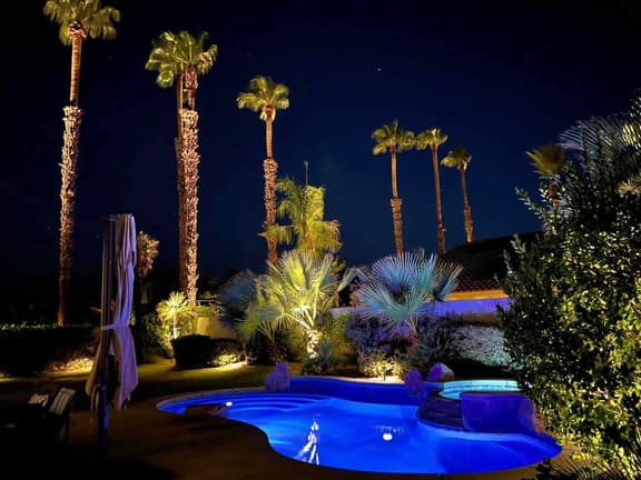 Palm Breezes
